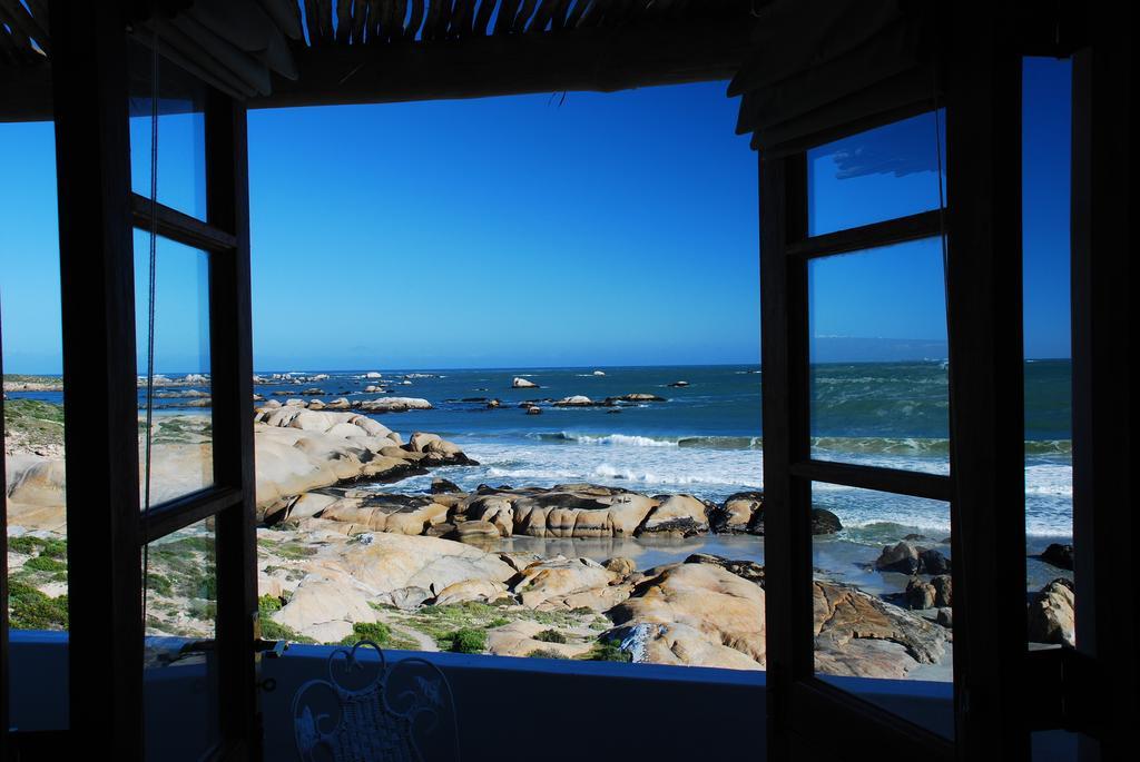 The Oystercatchers Haven At פטרנוסטר מראה חיצוני תמונה